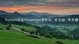 Suzhou还是Hangzhou更好玩/更美丽/更有趣？为什么？