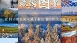 如何才能更深入地了解沈阳的传统建筑文化?