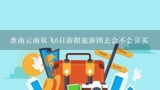 淮南云南双飞6日游跟旅游团去会不会强买