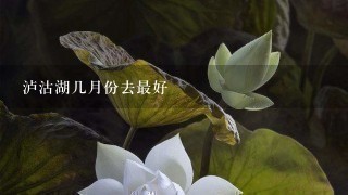 泸沽湖几月份去最好