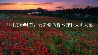 11月底的时节，去新疆乌鲁木齐和天山天池，所需要备带什么衣物？