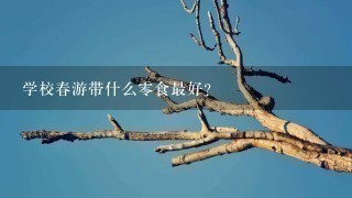 学校春游带什么0食最好？