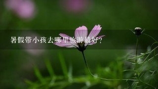 暑假带小孩去哪里旅游最好？