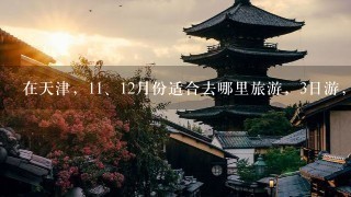 在天津，1<br/>1、12月份适合去哪里旅游，3日游，不要太远了，大家给推荐1下。飞机火车都可以。