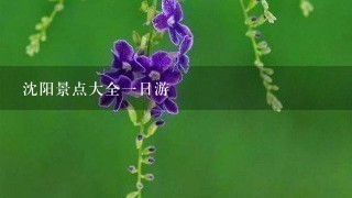 沈阳景点大全1日游