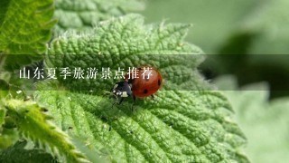 山东夏季旅游景点推荐