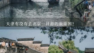 天津有没有去北京1日游的旅游团？