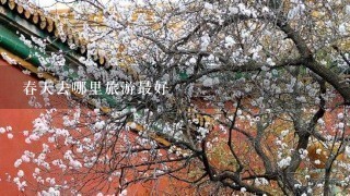 春天去哪里旅游最好