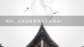 请问，去海边需要带什么必需品？