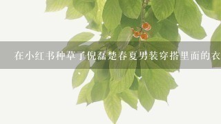 在小红书种草了倪磊楚春夏男装穿搭里面的衣服，但是不知道是哪个品牌的？去哪买？