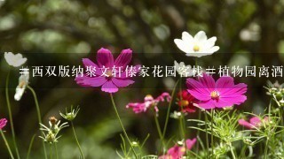 #西双版纳聚文轩傣家花园客栈#植物园离酒店远不远？在酒店可以报团吗？