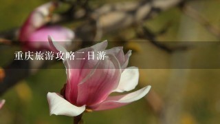 重庆旅游攻略2日游