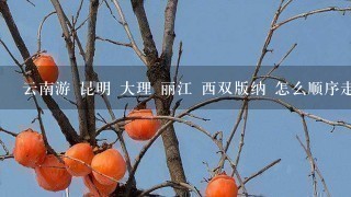 云南游 昆明 大理 丽江 西双版纳 怎么顺序走好