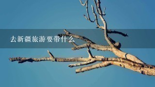 去新疆旅游要带什么