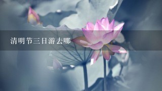 清明节3日游去哪