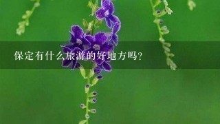 保定有什么旅游的好地方吗？