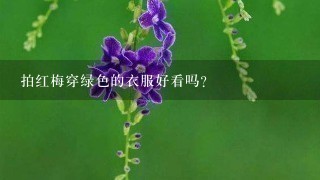 拍红梅穿绿色的衣服好看吗？