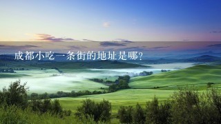 成都小吃1条街的地址是哪？