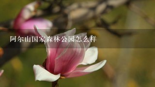 阿尔山国家森林公园怎么样