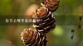 春节去哪里旅游最好?