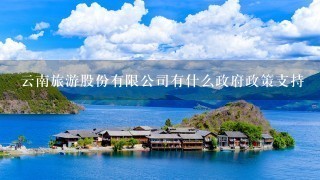 云南旅游股份有限公司有什么政府政策支持