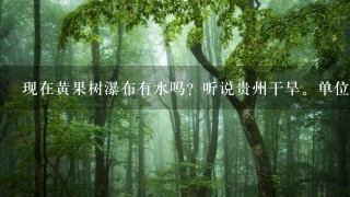 现在黄果树瀑布有水吗？听说贵州干旱。单位6月初要到贵州旅游的。