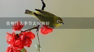 贵州什么季节去旅游好