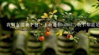 我朋友送我个包，上面是miumiu，我不知道是什么牌的