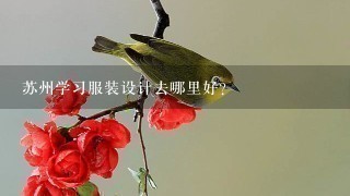 苏州学习服装设计去哪里好？