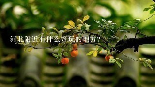 河北附近有什么好玩的地方?