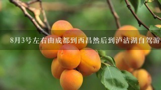 8月3号左右由成都到西昌然后到泸沽湖自驾游，请问沿途路况如何？我是轿车