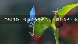 7或8月份，云南适合旅游么？气温是多少？会不会是雨季？