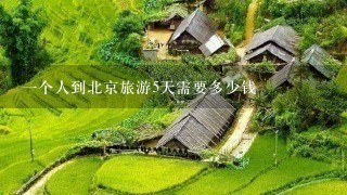 1个人到北京旅游5天需要多少钱