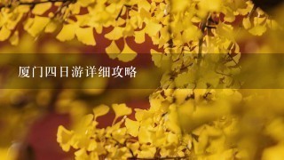 厦门4日游详细攻略