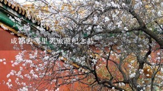 成都去哪里买旅游纪念品