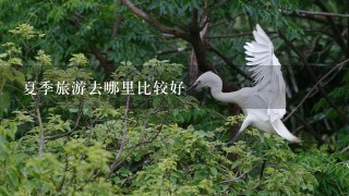 夏季旅游去哪里比较好