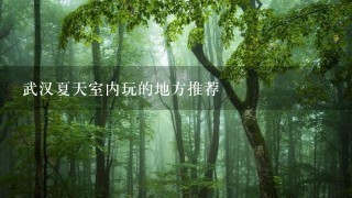 武汉夏天室内玩的地方推荐