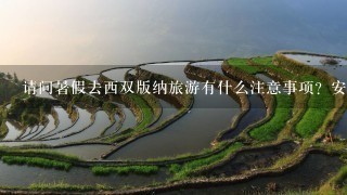 请问暑假去西双版纳旅游有什么注意事项？安全天气之类的。