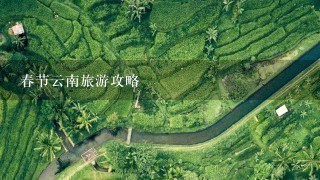 春节云南旅游攻略