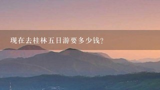 现在去桂林5日游要多少钱？