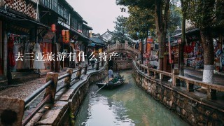 去3亚旅游有什么特产