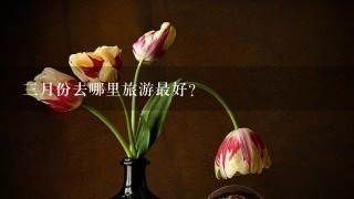 3月份去哪里旅游最好?