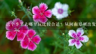 这个季节去哪里玩比较合适？从河南郑州出发