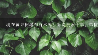 现在黄果树瀑布有水吗？听说贵州干旱。单位6月初要到贵州旅游的。