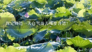 保定周边1天自驾游去哪里合适？