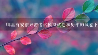 哪里有安徽导游考试模拟试卷和历年的试卷下载呢？