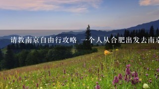 请教南京自由行攻略 1个人从合肥出发去南京走走 3天 有什么更好的安排路线