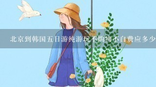 北京到韩国5日游纯游玩不购物不自费应多少费用