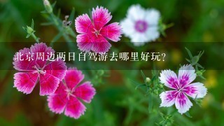 北京周边两日自驾游去哪里好玩？