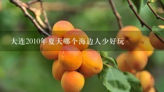 大连2010年夏天哪个海边人少好玩